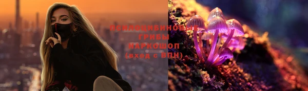 прущая мука Арсеньев