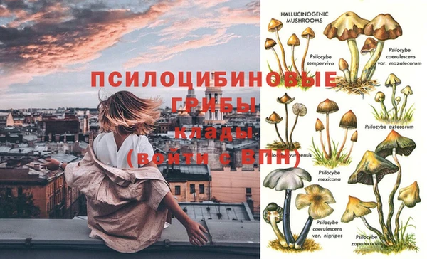 прущая мука Арсеньев