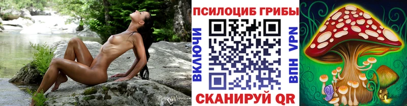 MEGA онион  Нарьян-Мар  Галлюциногенные грибы мицелий 